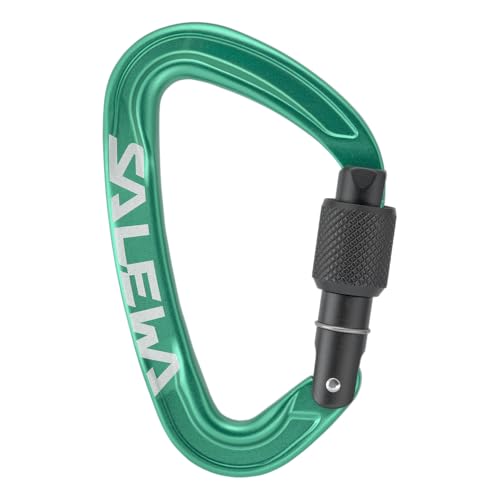 Salewa Ortles Screw Carabiner, Irish Green, UNI