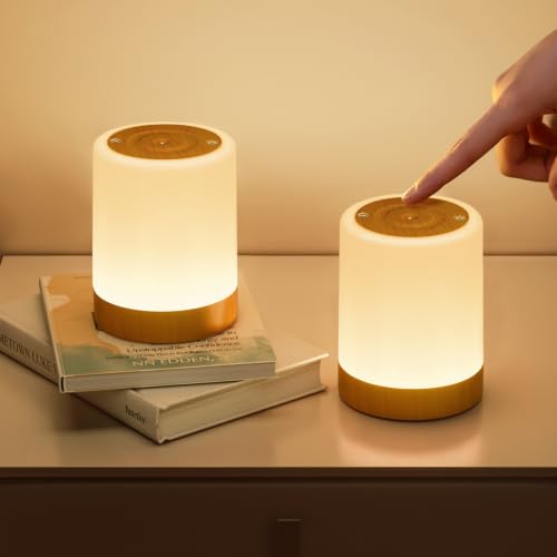NIWOHOM 2pcs Nachttischlampe Touch Dimmbar, 256 RGB Farben&5 Modi