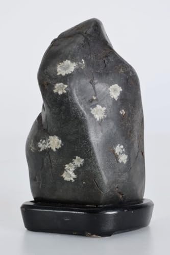 菊花石」の人気商品一覧 | 安い商品を通販サイトから探す - 価格.com