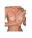 Mystiqueshapes  Women Reveal Cleavage Galore Silicone Nu Bra Cups Breast Enhancers (B, Nude)