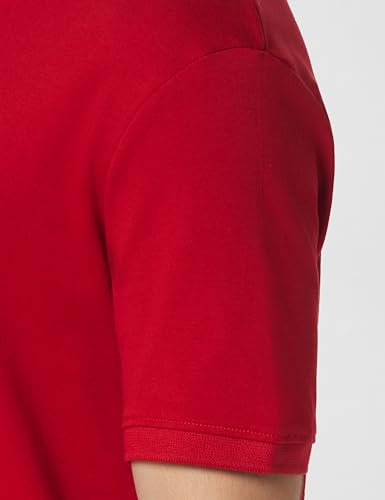 Image of Lacoste Men Polos