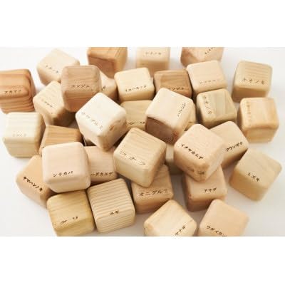 フォレストキューブ岩泉の森のキューブ: 10樹set