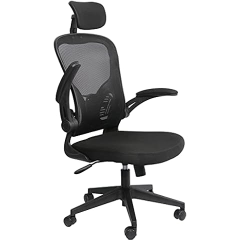 Requena Desk Chair, Mesh Chair with Flip-up Armrest & Lumbar Support with Headrest, Computer Office Chair, Adjustable Height BOC210 (Black-1) Cover