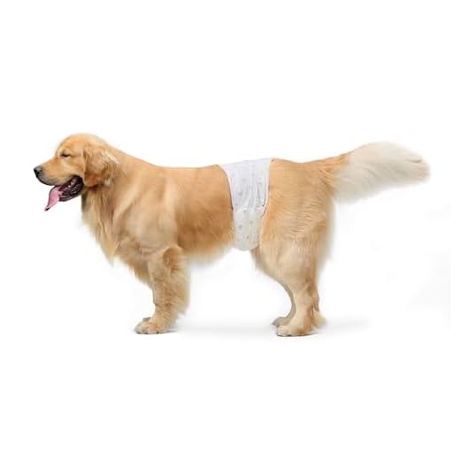 AmazonBasics - Hundewickel für Rüden, Große, 30er-Pack