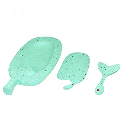 WEHOLY Modèle éducatif Amarante Modèle de développement d'embryons Modèle de Plante Junior High School Biology Science Education Instrument Teaching Demonstration Cover