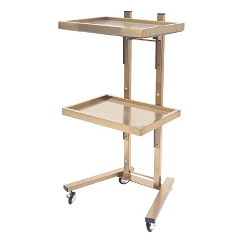 Gold Rolling Trolley Cart?Esthetician Cart with Wheels Utility Salon Rolling Trolley?Hair Beauty Spa Storage Tray Equipment Organizer?Tattoo Manicure Facial Tool Holder Station 2 Tier