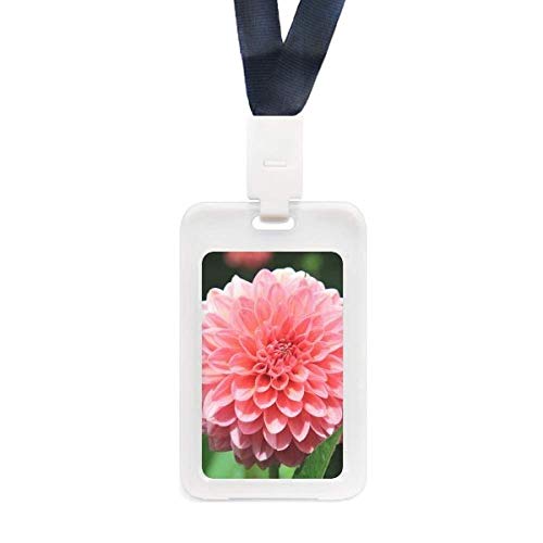 Porte-cartes de crédit transparent orné de fleurs de pêcher comme idée cadeau originale