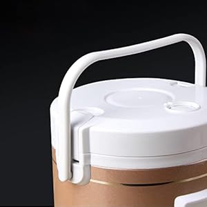 VMS INDIA Electric Rice Cooker 1.6L Portable 100W-180W Car 12V/24V Truck Gold