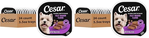 Image of Cesar Classic Loaf in Sauce Adult Wet Dog Food Filet Mignon Flavor, Wet Food for Dogs, 3.5 oz Easy Peel Trays, 24 Count (Pack of 2)