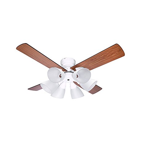 Windouble BIG-102