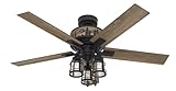 Hunter 52 inch Indoor Ceiling Fan with LED Lights - Black Ceiling Fan with Pull Chain, For Bedroom, Living Room, or Kitchen, Standard Mount, No Remote, 5 Blades - Mt. Vista 50169, Natural Black Iron
