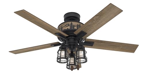 Hunter 52 inch Indoor Ceiling Fan LED Lights - Black