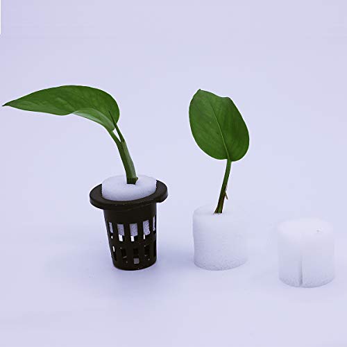 Juhao 100 Pack Hydroponics Sponges Seed Growing Media Cylindric Sponges 1.2X1.3 Inches(White) (White) #TOP5