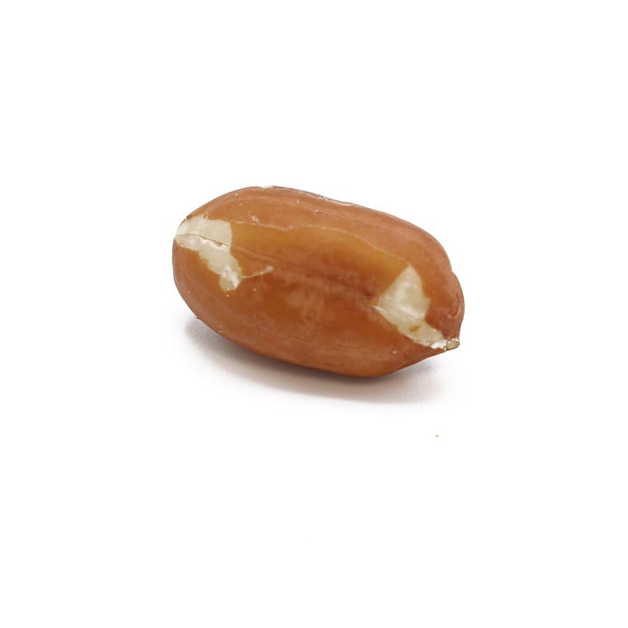 RAW Red-Skin Peanuts, Shelled, Jumbo Runner, Bulk 10 Pound Box, Peanuts Great For Trail Mix and Cooking