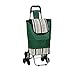 Carro Compra 3 Ruedas. Especial para Subir ESCALERAS (38X28X94 cm) (Verde Rayas)