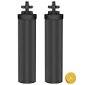 Water Filter Replacement for Berkey BB9-2 Black Filters, Compatible with Berkey Gravity Water Filter System,Reduce Lead and Chlorine,Remove Taste,Odor,Pack of 2