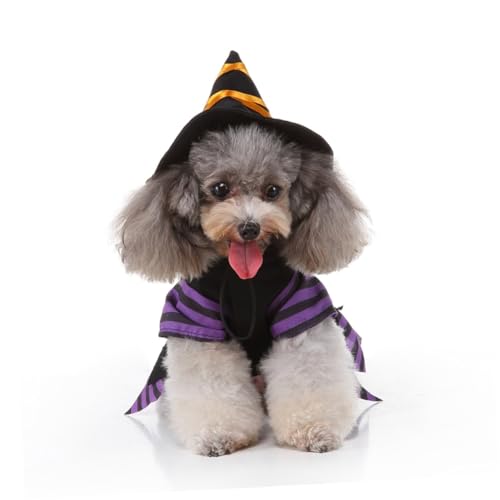 Disfraz de bruja para perro talla S POPETPOP miniatura 7