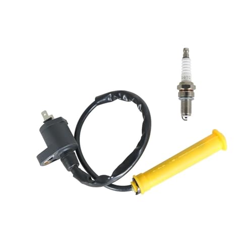 Bobine d'allumage avec bougie pour moto Honda XR650L de 1993 à 2016