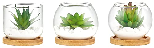 Mkono Artificial Succulent in Clear Glass Pot, Set of 3 Mini Potted Fake Plants for Women Office Decor Small Faux Green Plant with BambooTray for Bookshelf Bathroom Kitchen Decor Tabletop Centerpiece