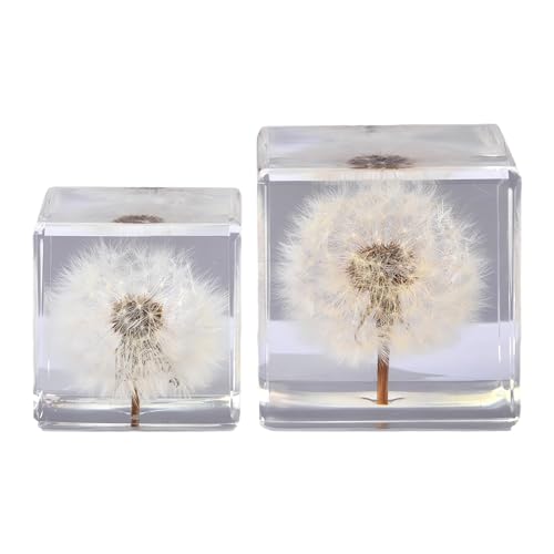 Image of Dandelion Taxidermy, Real Plant Flower Specimen in Resin Preserved, Clear for Closer-Look & Study, Science Educational Classroom Specimens, Novelty Crafts Decor Ornament, Amazing Gift (M and L Cubes)