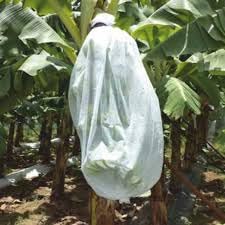 Non Woven Banana Bunch Cover 53 cm Width - Pack of 10 | Fruit Protection Cover, Non Woven Fabric, Pack of 10, 53 cm Wide, Bunch Cover-image-46