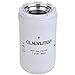 CLNLVLITOP T4125-38021 Hydraulic Filter Compatible With Kioti DK35H DK40H DK50H DK4210HSE Fit for Case CX130 CX145 CX160 CX180 CX210 CX235 CX290 Replacs 47635916 KHJ17730 KHJ10950 WL10243 SH66050