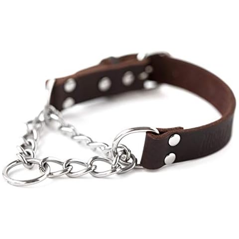 Mighty Paw Leather Martingale Dog Collar Cover