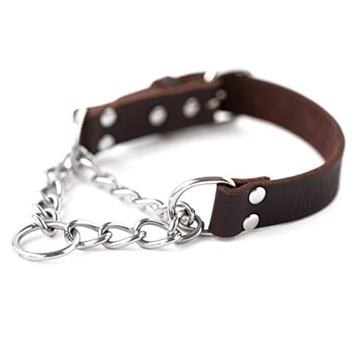 Mighty Paw Martingale Collar - No-Pull Leather, Medium Brown