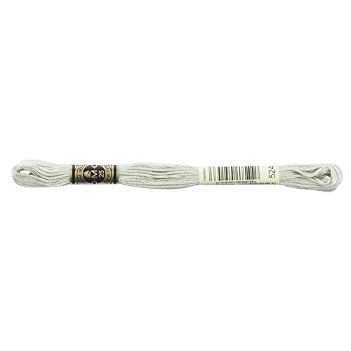 Image of DMC 6-Strand Embroidery Cotton Floss, Very Light Fern Green