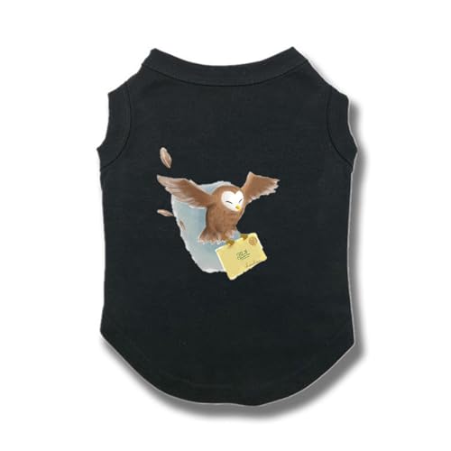 ZSDGBZ    bV ĕ   XS z y MǑ΍ ΍ObY Ăh o U N[OX[c ^p Lp U o