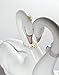 LLADRÓ Swan Couple White Heart Glossy White Porcelain Figurine. Heart-Shaped Porcelain Swan Figurine.