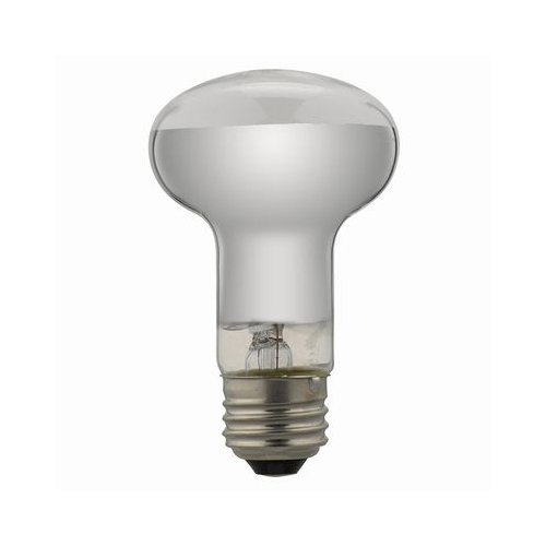 �y�܂Ƃ� 10�Z�b�g�z YAZAWA ���t�`���M�����v RF100V90W