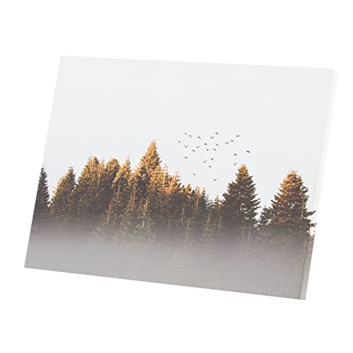 Toile imprimée affiche poster envol d'oiseaux forêt pins sauvage