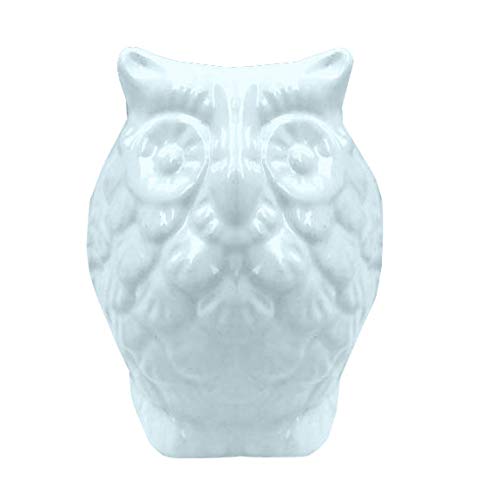 GGICO Cute Owl Ceramic Pot Planter (Without Drainage Hole) for Table top Indoor Outdoor Plant Flower pots Artificial Plant Decor Succulent Pot (Pot only Plants not Included) (Aqua Sky, Small) (B08Y7MSN52) Amazon Price History, Amazon Price Tracker