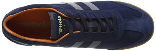 Image of Gola Harrier