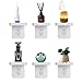BELIEFLUO Outlet Shelf Holder Fit for Duplex Receptacle, Bathroom Decor,Cable Management,A Space Saving Solution, Homepod Mini Google Home/Echo/Smart Speakers/Electric Toothbrush/Cell Phone (Standard)