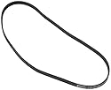 CONTITECH 5PK1207 Zahnriemen