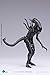 Hiya Toys Alien vs. Predator: Requiem Xeno Warrior 1:18 Scale Figure,Multicolor