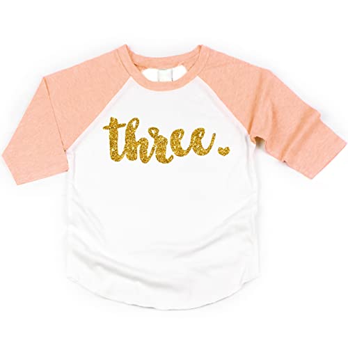Bump and Beyond Designs Girl Third Birthday Outfit Third Birthday Shirt Three Year Old Outfit