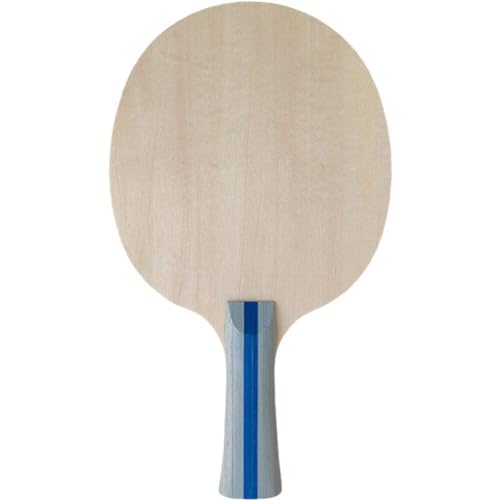 Baokuan Paletas De Pong, Raquetas De Tenis De Mesa, Ideales para Entretenimiento O Competición, Paletas De Pong para Juegos En Interiores Y Exteriores