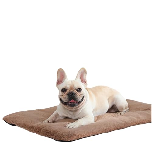 ybgpq[^[t}bg dCsṽq[^[ Lƌpxbh ybgp}bgASuPbgAӂӂA@􂢉A~߁AɍœKAgA~ɍœKTufduzo^thD] (M,A)