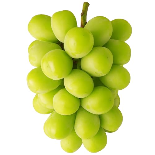 五色青果 [先行受付]訳あり 特大シャインマスカット1房 約750g マスカット ぶどう ブドウ 葡萄 訳あり 果物 フルーツ 人気 香川 香川県 三木町 特大 大房 大粒 厳選 種なし 皮ごと食べられる ジューシー 糖度が高い 先行受付 先行予約 季節限定 旬