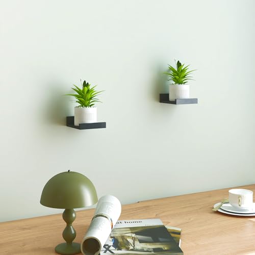 Image of Small Black Floating Shelves for Wall, Shelf with Lip Set of 2, 4 in