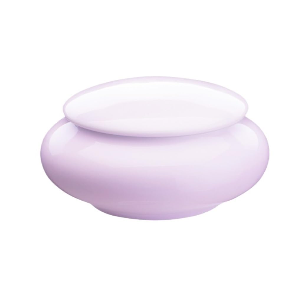 SDdPulse Serbatoio di stoccaggio del tè in ceramica piccolo barattolo sigillato contenitore per tè barattolo portatile da viaggio a casa barattolo di stoccaggio per tè Set da tè singolo barattolo