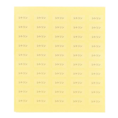  { ANZT[䎆pV[in×jys?ȍs n܂z (VgE, 200)