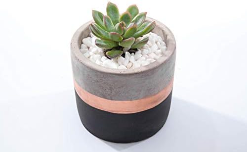 Opsuper Incense Holder