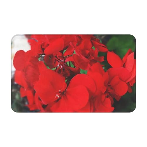 ~߁A\AzƑϋv tA}bgBƒAItBXAƃXy[Xł̉Oł̎gpɓKĂ܂i\t@̐Ԃ[jẺԕj