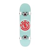 Element Popsicle Skateboard Mint 31' Standard Skateboard with 5' Aluminum Trucks, 9-Layer NE Maple Deck - Perfect for Kids, Teens, and Adults of All Experience Levels