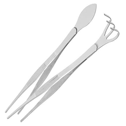 Balacoo Tweezers Set for Bonsai 1pc Bonsai Planting Tool Small Rake Craft Tweezers for