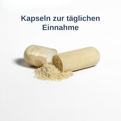 puhdas+ Quattro Magnesium | Hochdosiert | 60 vegane Kapseln | Magnesium-Komplex aus Magnesiumtaurat, Magnesiummalat, Magnesiumcitrat & Magnesiumhydroxid | Hergestellt in Finnland